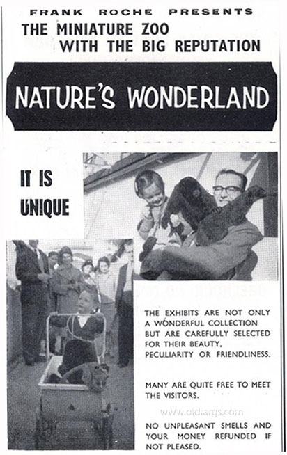 largs zoo advert